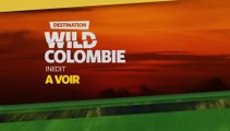 Destination Wild - Colombie - Nat Geo Wild