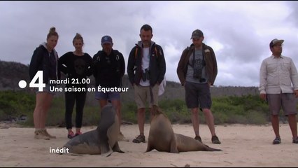 Une saison en Equateur (France 4) : Le nouveau périple des soigneur du zoo de La Flèche