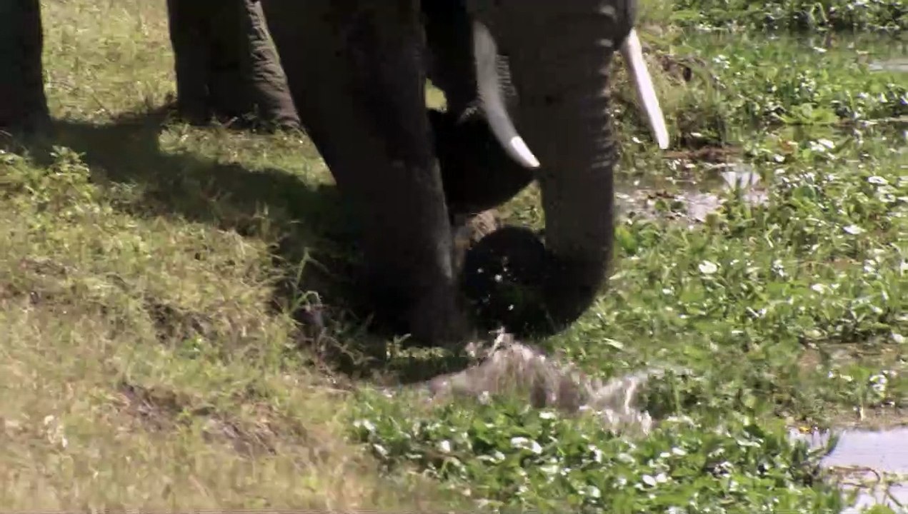 Unser Leben Trailer DF