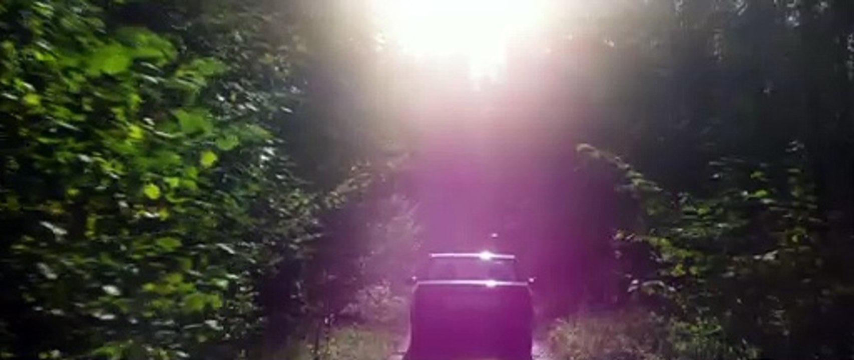 Shelley Trailer (2) OV