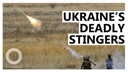 Ukraine’s MIG Killer: How The Stinger Missile Works