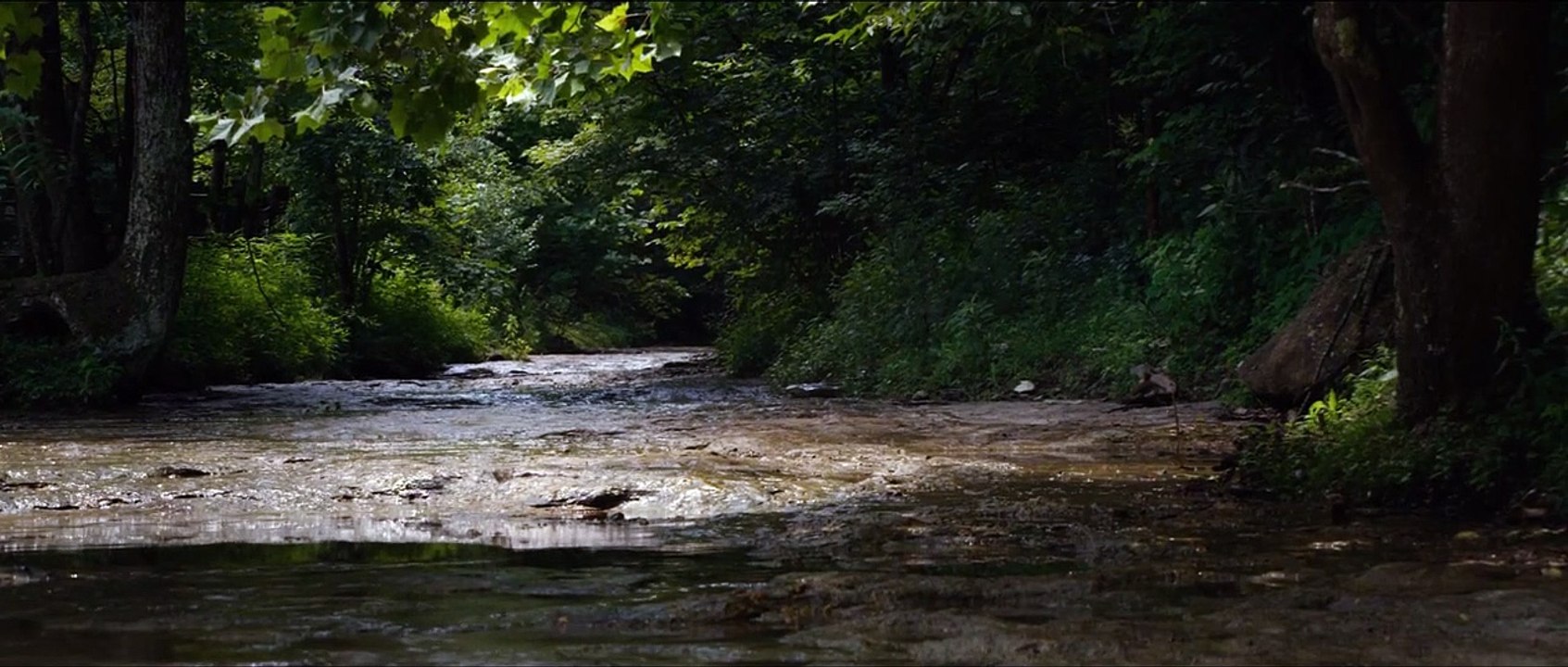 The Big Ugly Trailer DF