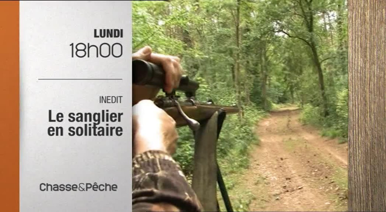 Le Sanglier en solitaire - Chasse et pêche
