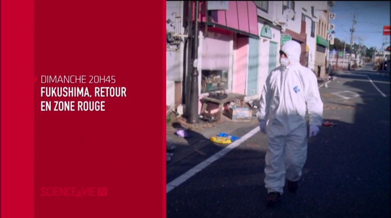 Fukushima : retour en zone rouge - 27/11/16