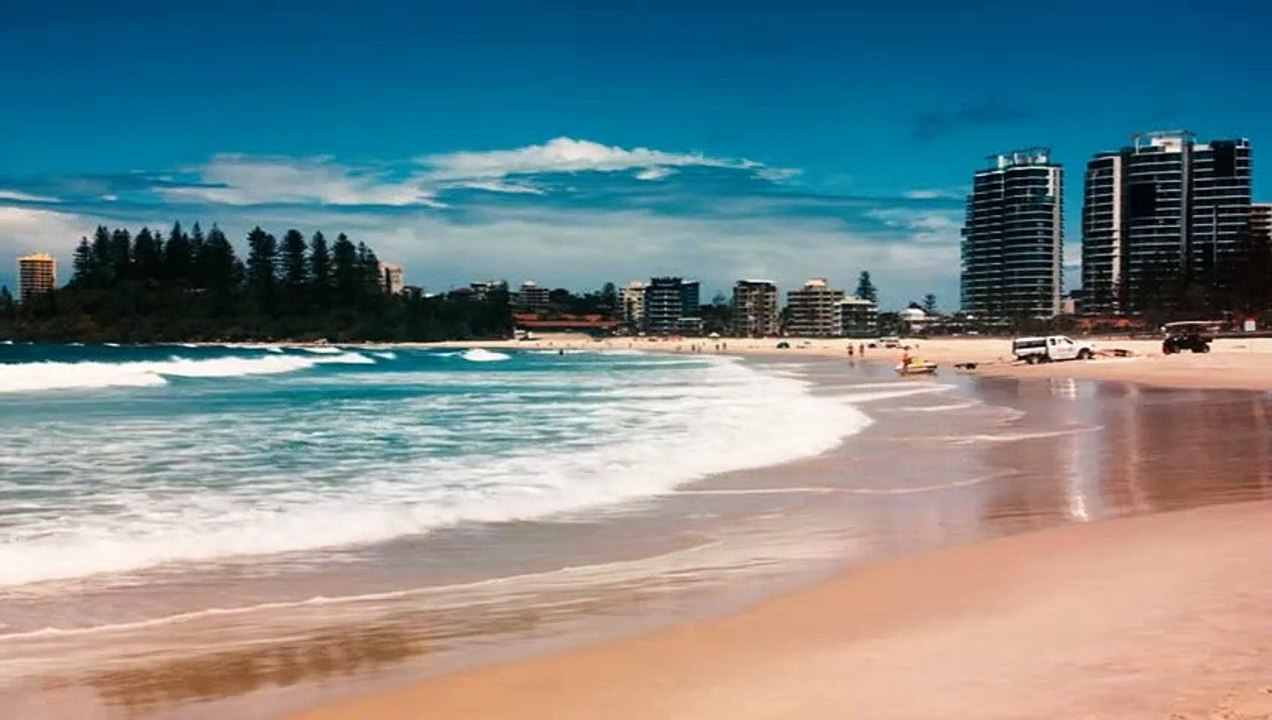 Bait - Haie im Supermarkt Trailer DF