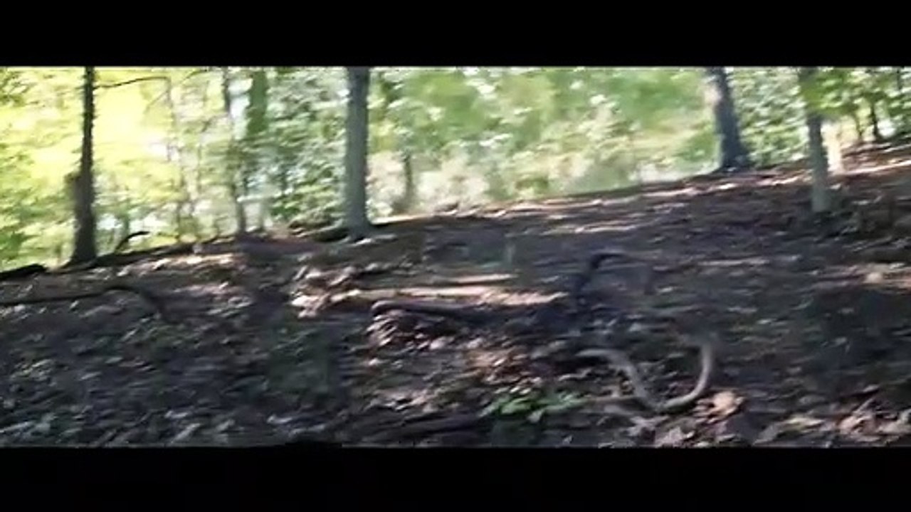 Wrong Turn - The Foundation Trailer DF