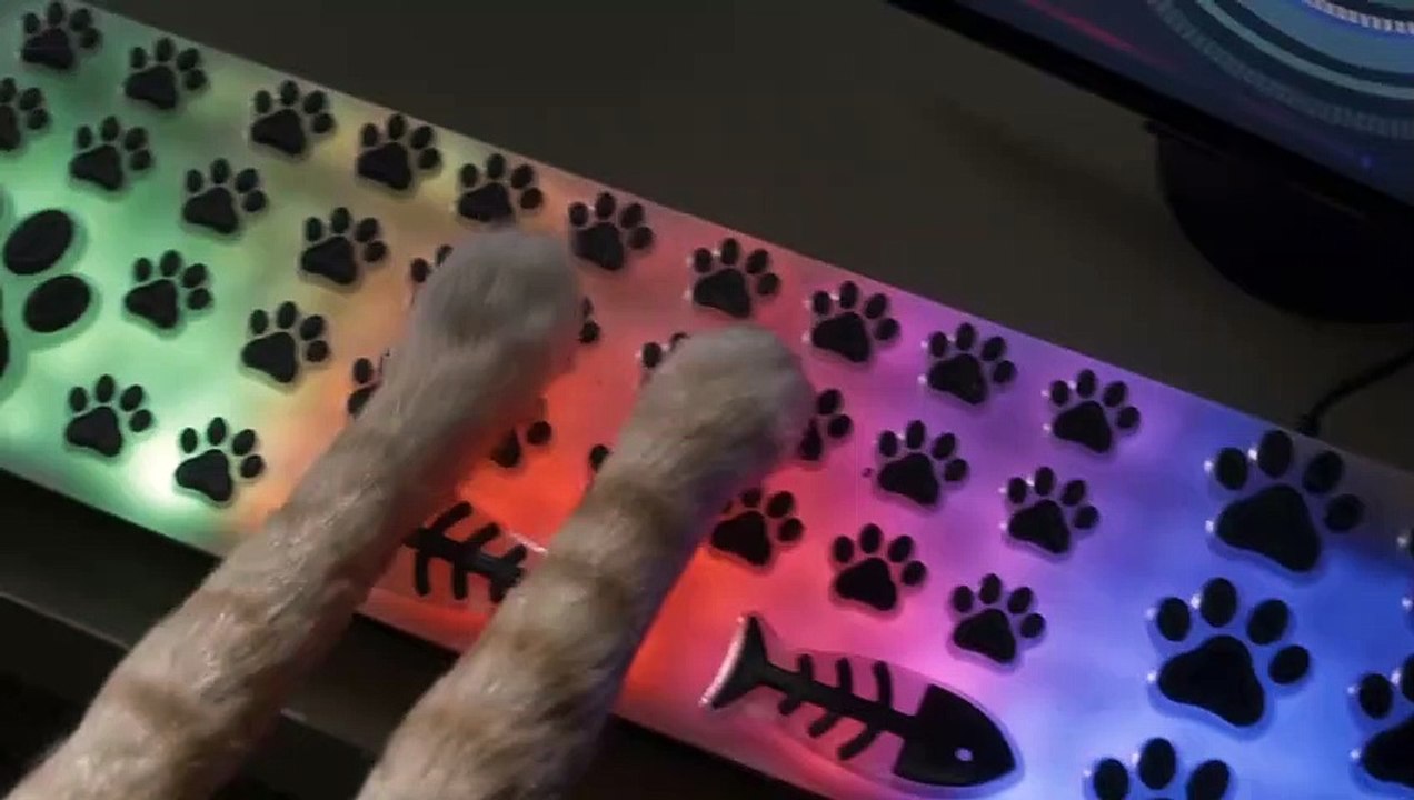 Cats & Dogs 3: Pfoten vereint! Trailer DF