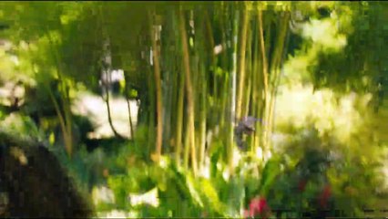 Der geheime Garten Teaser OV