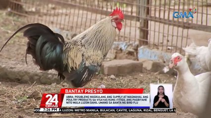UBRA: posibleng magkulang ang supply at magmahal ang poultry products sa Visayas kung ititigil ang pagbiyahe nito mula Luzon dahil umano sa banta ng bird flu | 24 Oras