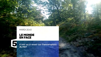 Menaces sur la forêt + Climatosceptiques - 20/10