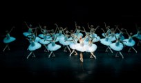 Le Lac des Cygnes - Ballet National de Chine