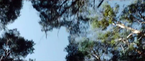 Voces - Die Stimmen Trailer OV