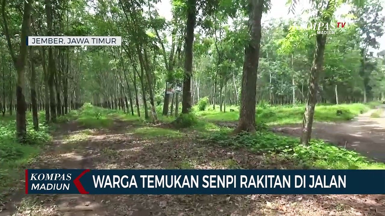 Warga Temukan Senpi Rakitan Di Jalan