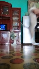 kucing latihan lompat