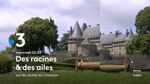 Des racines et des ailes (france 3) Sur les routes du Limousin