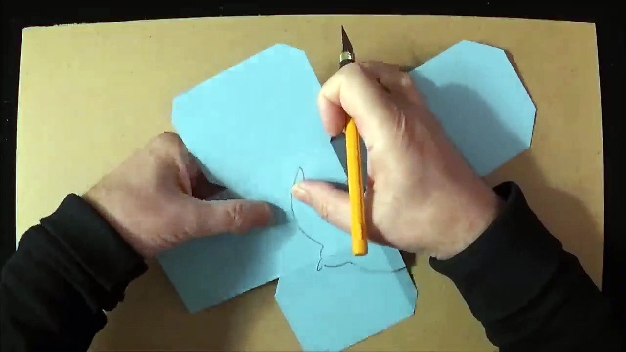 3D Art Design - Awesome Swallow Bird Cube