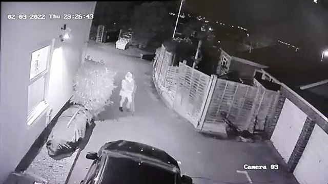 Drunken woman captured on CCTV smashing up her neighbours' cars with a 3ft long pick-axe handle in a row over a parking spot