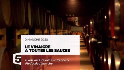 Le Vinaigre à toutes les sauces - 05 11 17 - France 5