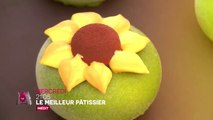 Le Meilleur Pâtissier (M6) Demi-finale : Faux tableaux, vrais gâteaux