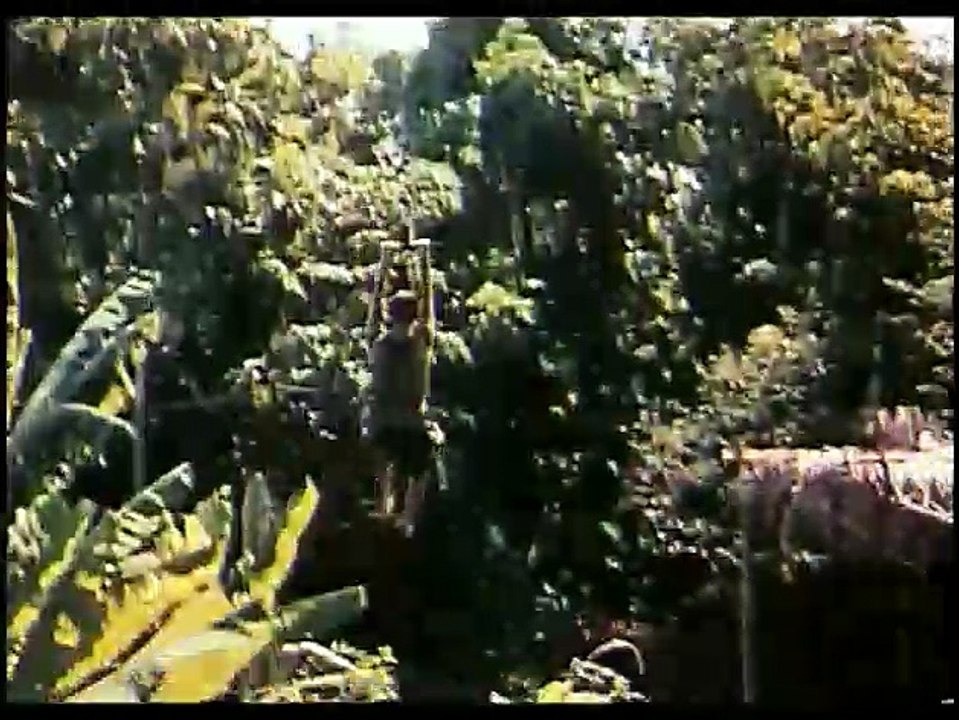 The Beach Trailer DF