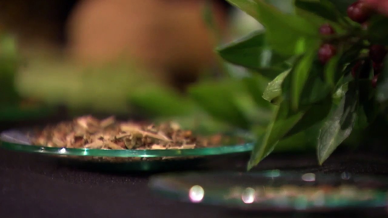 Dragons Den UK S19E09