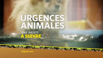 Urgences animales - Saison 1