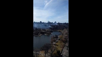 New York: une enquête ouverte après plusieurs départs de feu à Central Park,