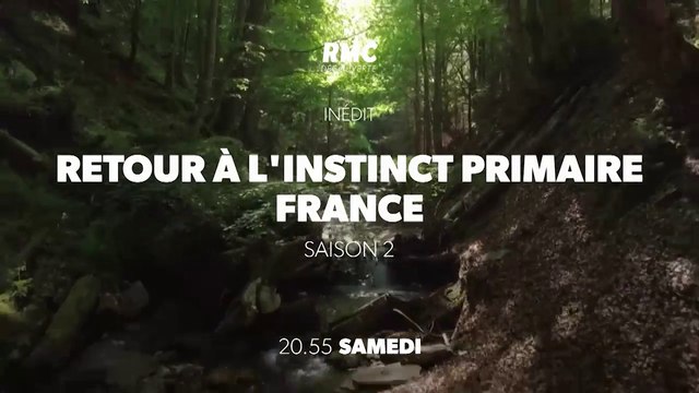 Retour à l'instinct primaire (rmc découverte) saison 2