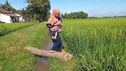 Beginilah suasana di desaku