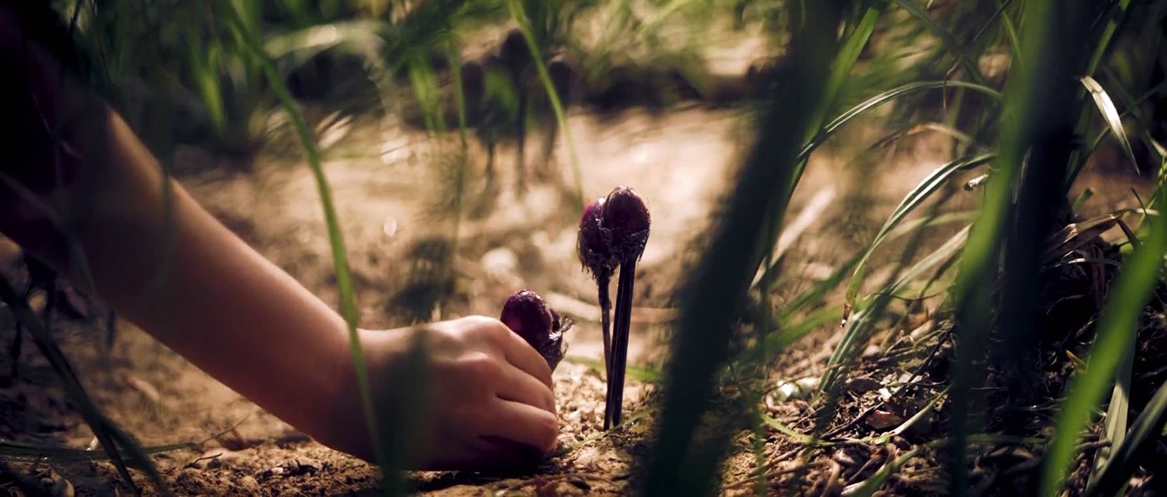 Ich liebe alles, was ich an dir hasse Trailer DF