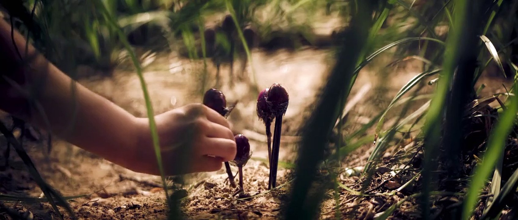 Ich liebe alles, was ich an dir hasse Trailer (2) DF