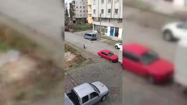 Sokak köpeklerinin saldırısına uğrayan çocuk kepenge tırmanarak kurtuldu