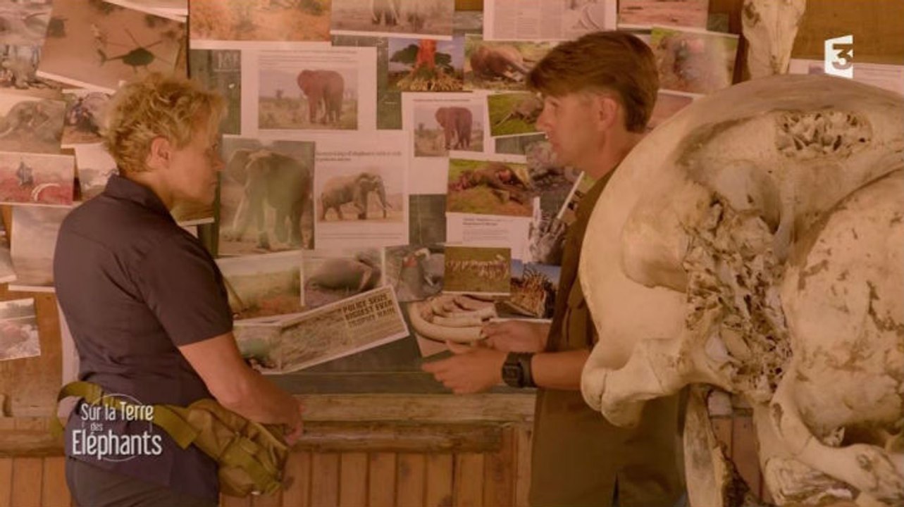 Muriel Robin et Chanee sur la terre des éléphants : Muriel Robin en pleurs