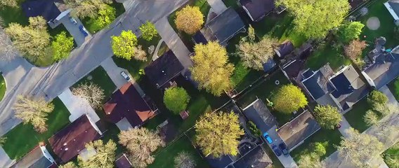 The Cleaning Lady - Sie weiß alles über dich Trailer OV