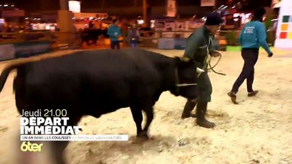 Depart immédiat - Salon de l'agriculture - 26 10 17 - 6ter