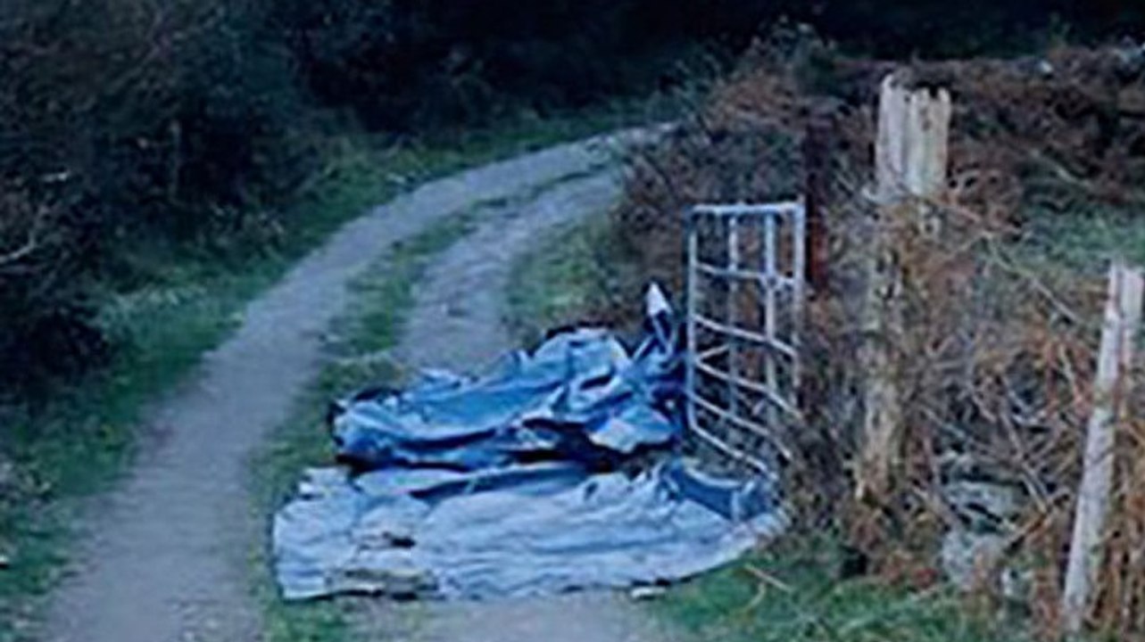 Sophie : l'affaire Toscan du Plantier : Le coup de coeur de Télé7