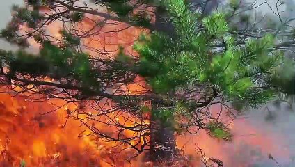 Beyond Climate Trailer OV