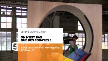 On n'est pas que des cobayes - 08/10/15