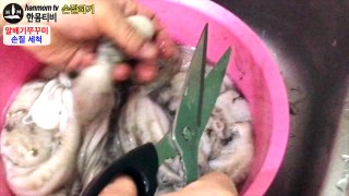 How To Prepare Clean Webfoot Octopus Jjukkumi Squid Prep 쭈꾸미 손질법