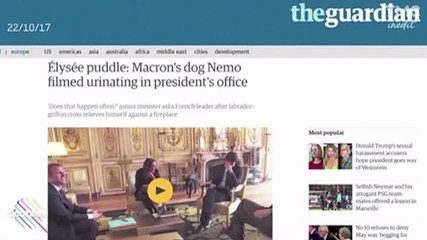 Le zapping du 24/10 : le chien de Macron urine sur un tapis, la presse étrangère s'en mêle