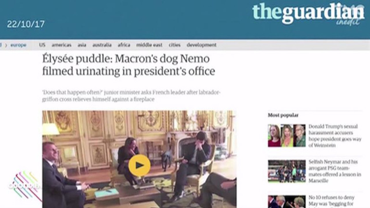Le zapping du 24/10 : le chien de Macron urine sur un tapis, la presse étrangère s'en mêle