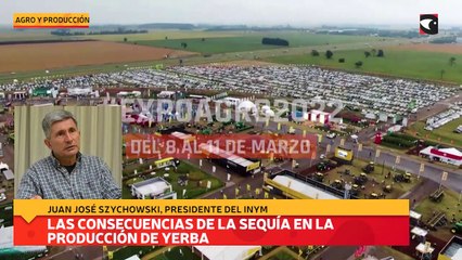 Las consecuencias de la sequía en la producción de yerba