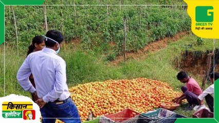 किसानों के लिये आया नया कीटनाशक, FMC India ने लॉन्च किया कोरप्राइमा™ | टमाटर और भिंडी की खेती | Kisan Bulletin On Green TV