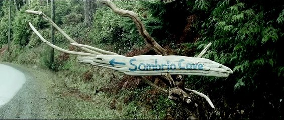 Dark Cove Trailer OV