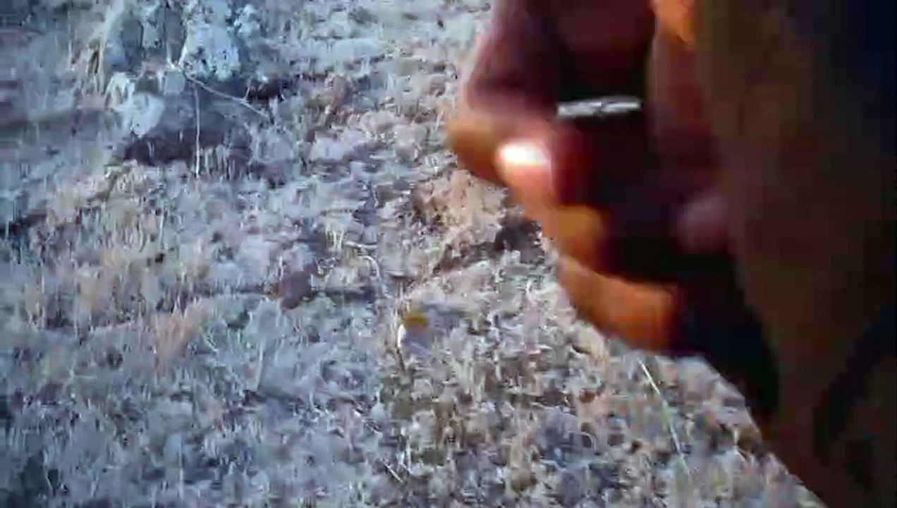 Les Sauteurs - Those Who Jump Trailer OV