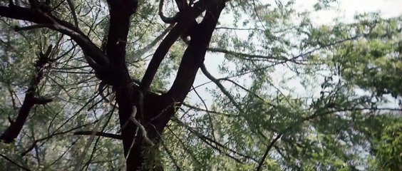 Black Mirror - Tod hinter Glas Teaser (2) OV