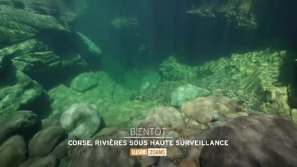 Corse, rivières sous haute surveillance - 17/11/16