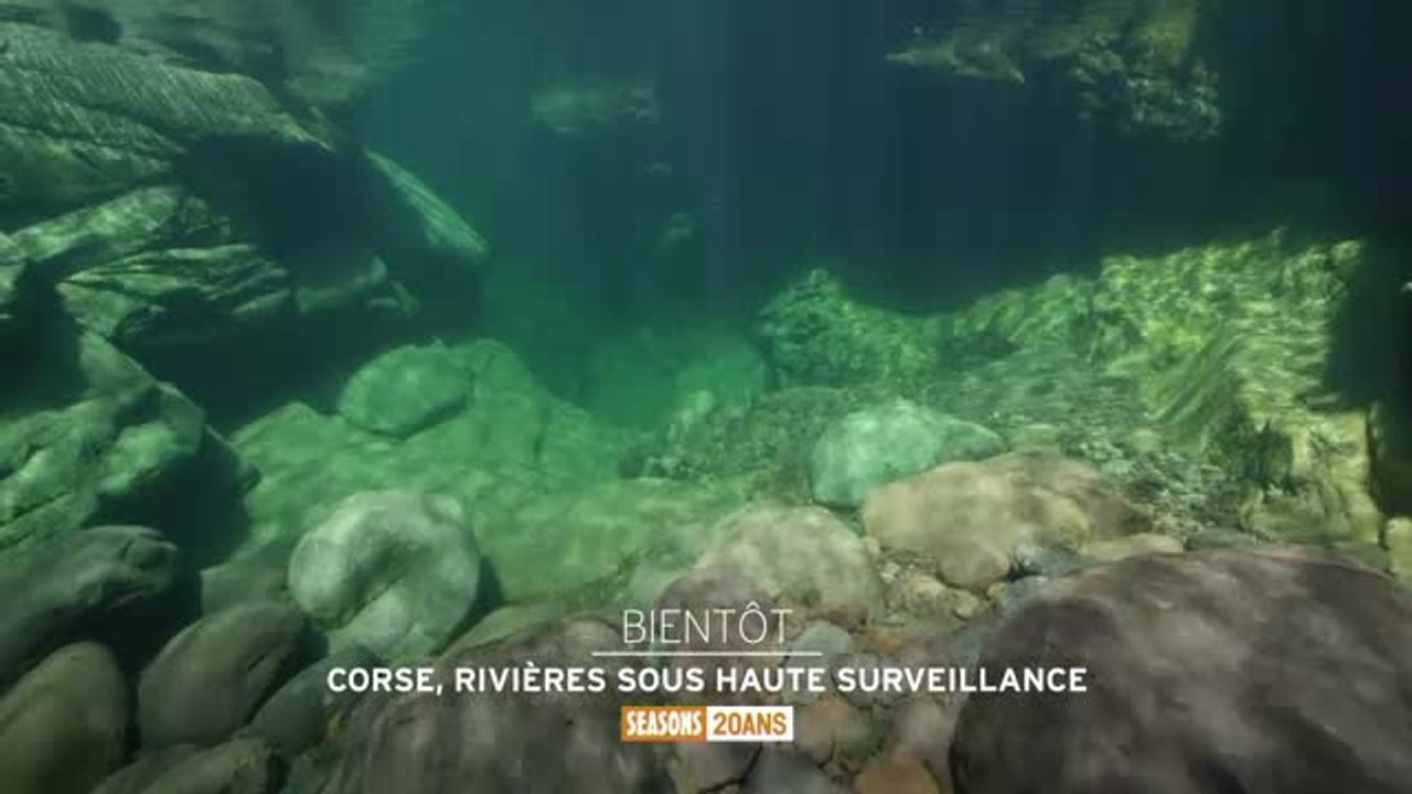 Corse, rivières sous haute surveillance - 17/11/16