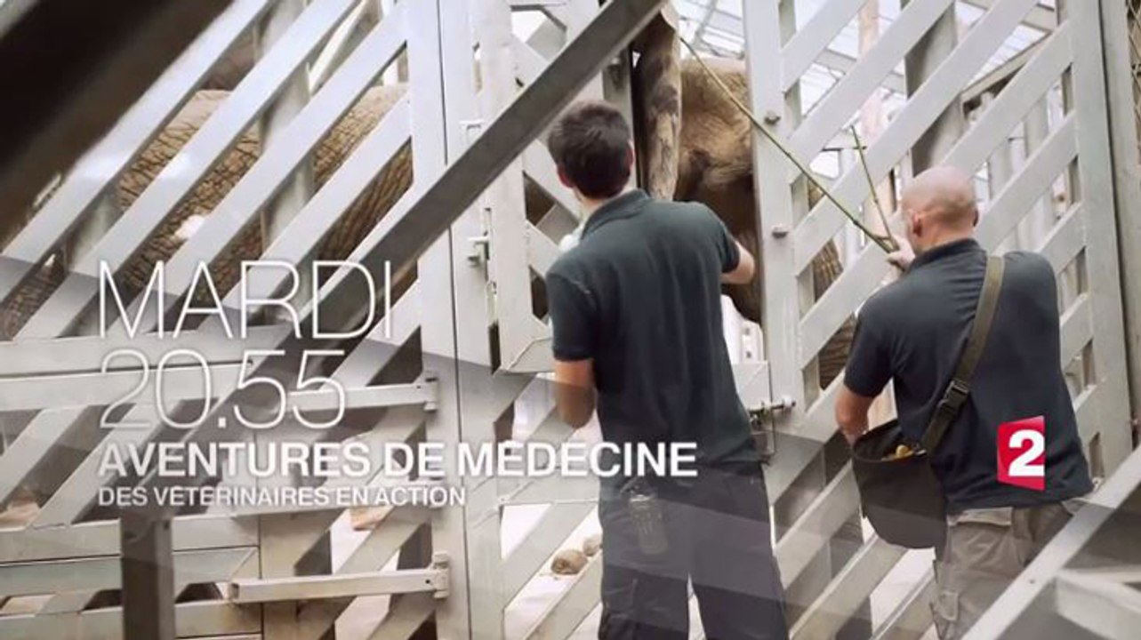 Aventures de médecine - Des vétérinaires en action - 24 10 17 - France 2