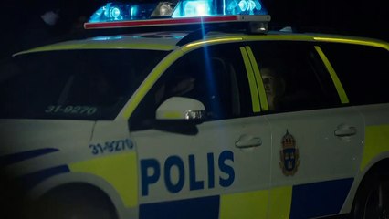 Jordskott - Die Rache des Waldes - staffel 2 Trailer DF